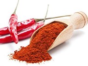 {{productViewItem.photos[0] || [{PathSmall:'http://m.ketosha.ru/pictures/product/small/14937_small.jpg',PathMiddle:'http://m.ketosha.ru/pictures/product/middle/14937_middle.jpg',PathBig:'http://m.ketosha.ru/pictures/product/big/14937_big.jpg'}].Alt || 'Перец острый молотый чили, 500 г'}}