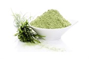 {{productViewItem.photos[0] || [{PathSmall:'http://m.ketosha.ru/pictures/product/small/15978_small.jpg',PathMiddle:'http://m.ketosha.ru/pictures/product/middle/15978_middle.jpg',PathBig:'http://m.ketosha.ru/pictures/product/big/15978_big.jpg'}].Alt || 'Барлейграсс порошок, 100г'}}