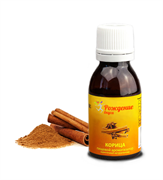 {{productViewItem.photos[0] || [{PathSmall:'http://m.ketosha.ru/pictures/product/small/7921_small.png',PathMiddle:'http://m.ketosha.ru/pictures/product/middle/7921_middle.png',PathBig:'http://m.ketosha.ru/pictures/product/big/7921_big.png'}].Alt || 'Ароматизатор пищевой Корица 25 мл'}}